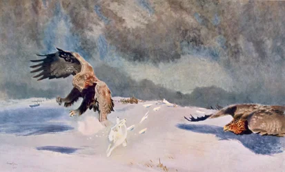 Adler und Kaninchen, 1922
